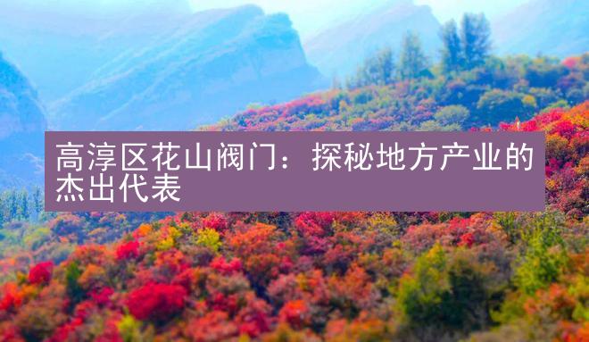 高淳区花山阀门：探秘地方产业的杰出代表