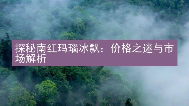 探秘南红玛瑙冰飘：价格之迷与市场解析