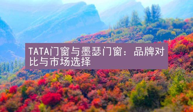 TATA门窗与墨瑟门窗：品牌对比与市场选择