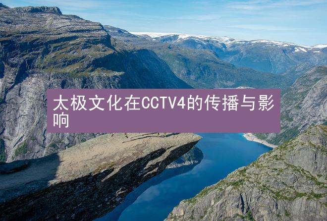 太极文化在CCTV4的传播与影响