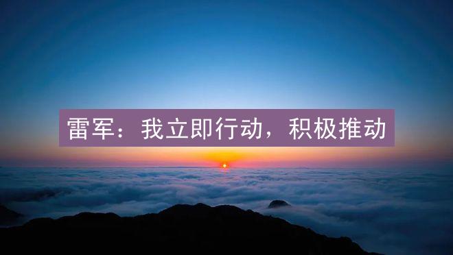 雷军：我立即行动，积极推动