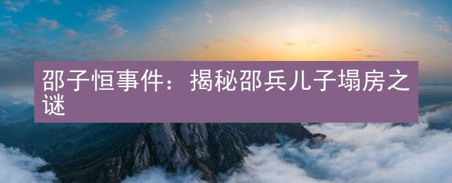 邵子恒事件：揭秘邵兵儿子塌房之谜