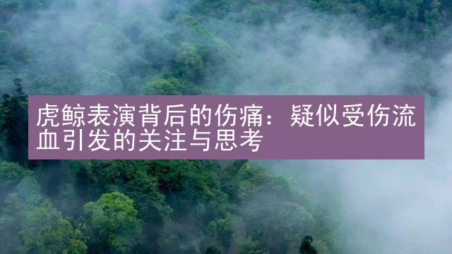 虎鲸表演背后的伤痛：疑似受伤流血引发的关注与思考