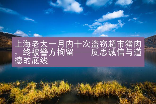 上海老太一月内十次盗窃超市猪肉，终被警方拘留——反思诚信与道德的底线