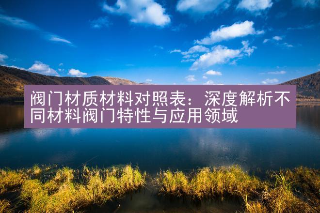 阀门材质材料对照表：深度解析不同材料阀门特性与应用领域