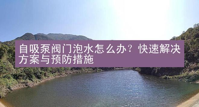 自吸泵阀门泡水怎么办？快速解决方案与预防措施