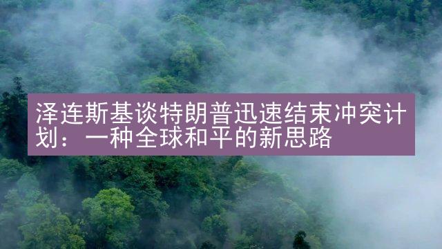 泽连斯基谈特朗普迅速结束冲突计划：一种全球和平的新思路