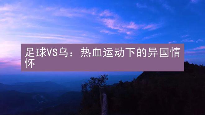 足球VS乌：热血运动下的异国情怀