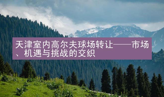 天津室内高尔夫球场转让——市场、机遇与挑战的交织