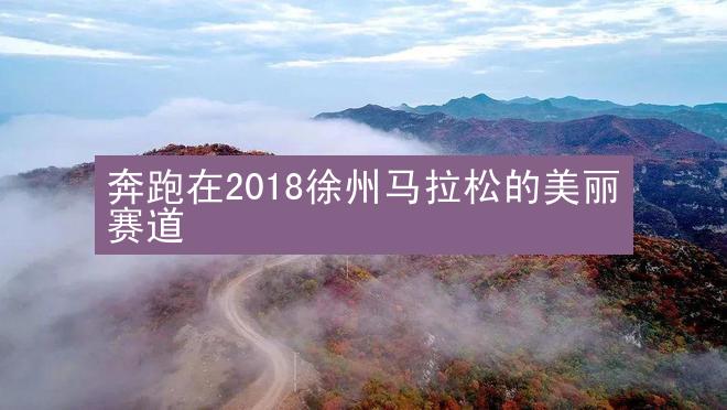 奔跑在2018徐州马拉松的美丽赛道