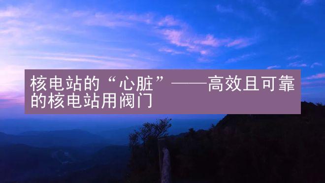 核电站的“心脏”——高效且可靠的核电站用阀门