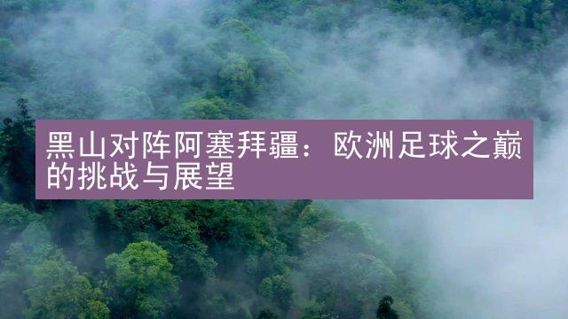 黑山对阵阿塞拜疆：欧洲足球之巅的挑战与展望