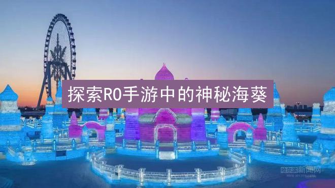 探索RO手游中的神秘海葵