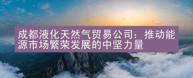 成都液化天然气贸易公司：推动能源市场繁荣发展的中坚力量