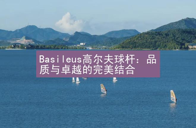 Basileus高尔夫球杆：品质与卓越的完美结合