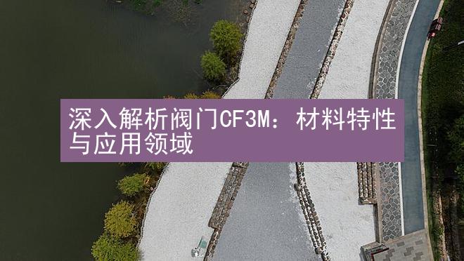 深入解析阀门CF3M：材料特性与应用领域