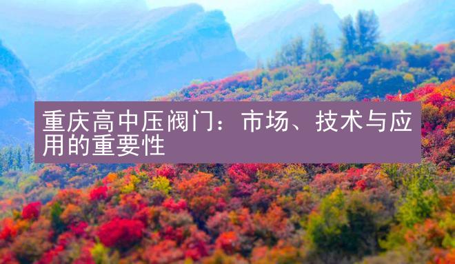 重庆高中压阀门：市场、技术与应用的重要性