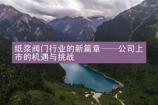 纸浆阀门行业的新篇章——公司上市的机遇与挑战