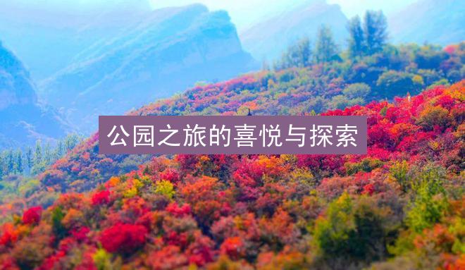 公园之旅的喜悦与探索